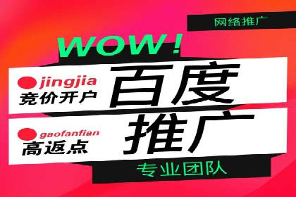 信息流广告代理项目案例分析
